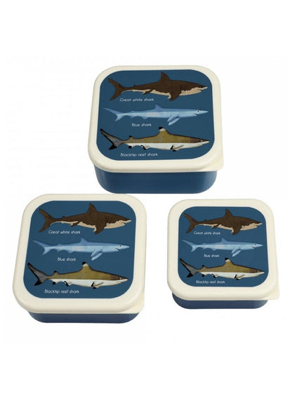 Rex London Wild Wonders Lunch Box With Tray