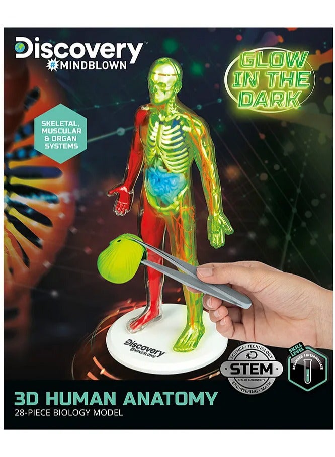 3D Human Anatomy Puzzle Kit by Discovery