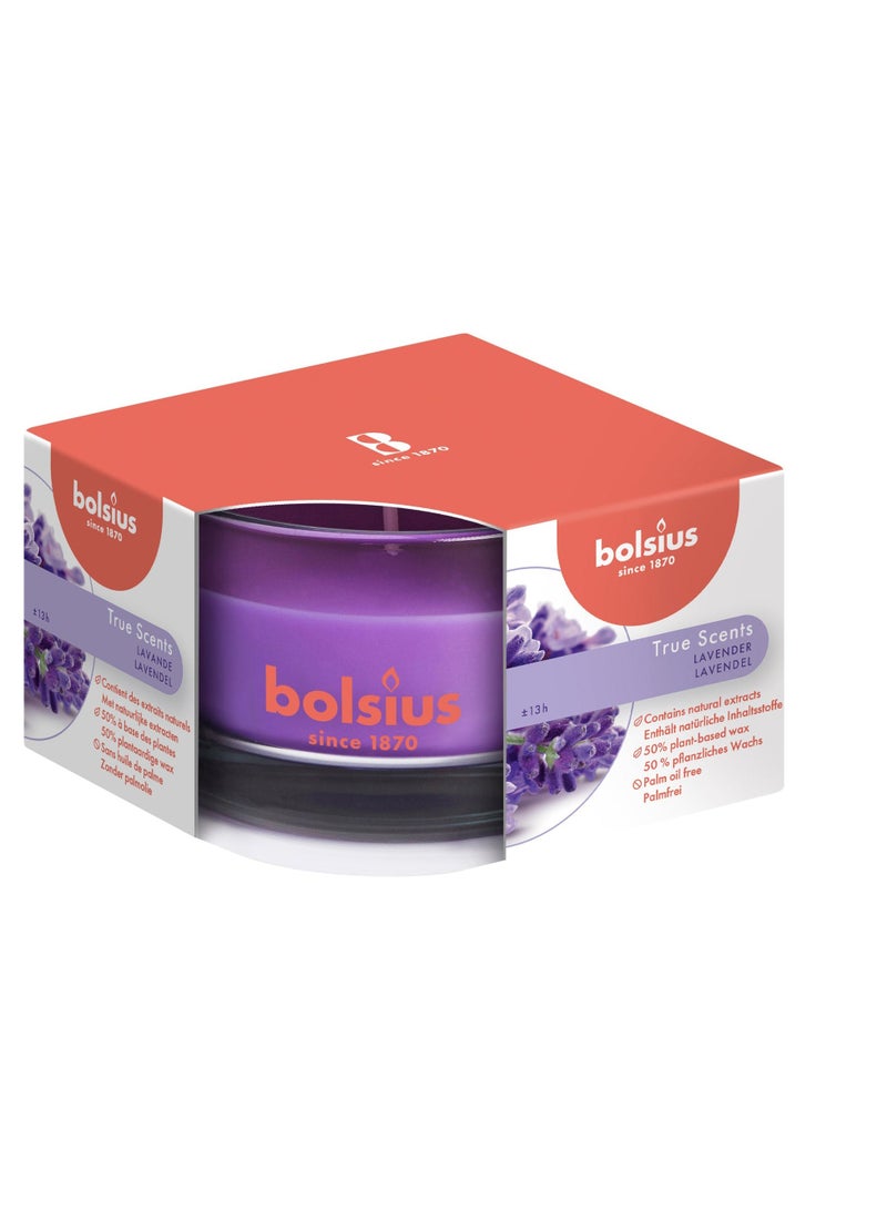 Lavender Candle In Glass - BOLSIUS