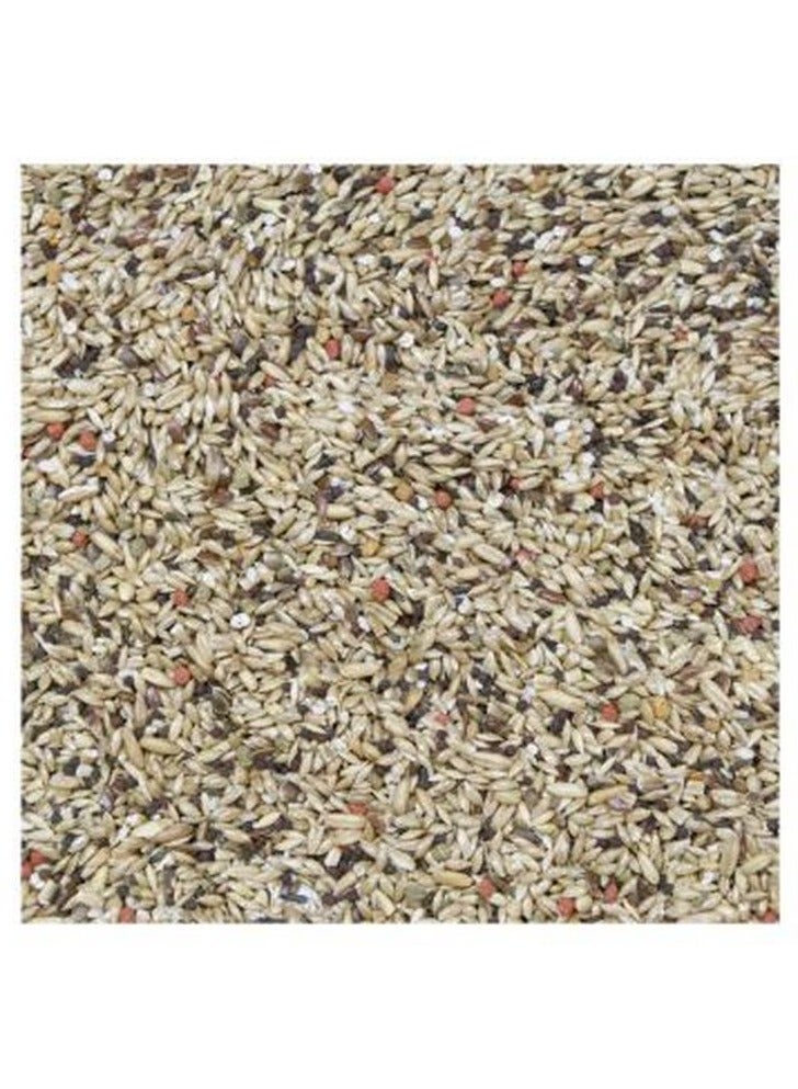 HigginS Vita Seed Canary Food 900 Gram