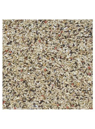HigginS Vita Seed Canary Food 900 Gram