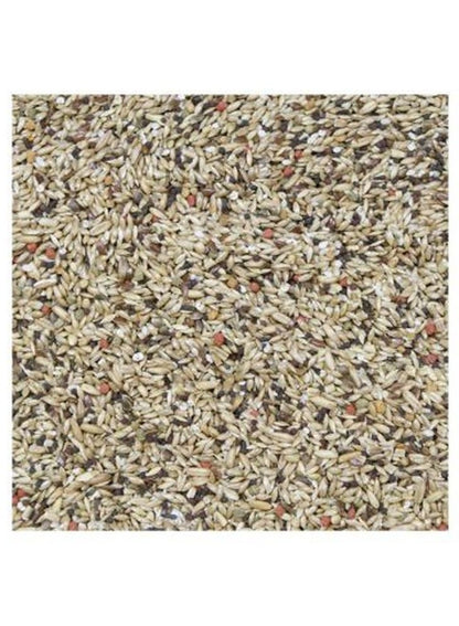 HigginS Vita Seed Canary Food 900 Gram
