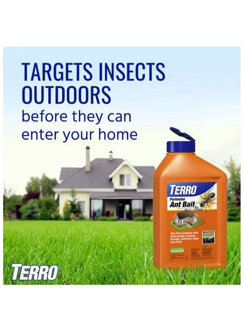 Outdoor Ant Bait Plus by Terro - Ant Control Solution