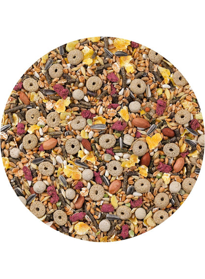 balanced feed, cereals seeds, diet suited, every stage, food supports, healthy diet, menu vital, menu vital hamsters, pet food, raw fiber, rich mixture, sugar-free, vitakraft, vital hamsters, vitality key