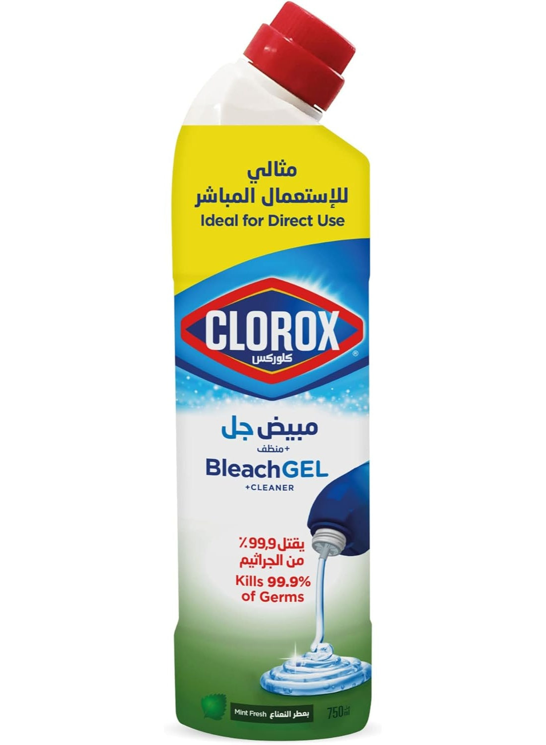 air dry, bleach gel, bleach gel cleaner, cleaner kills, clorox, deep cleaning, fresh bleach, fresh bleach gel, gel cleaner, gel cleaner kills, germs 750ml, hard non, mint fresh, mint fresh bleach, stain removal