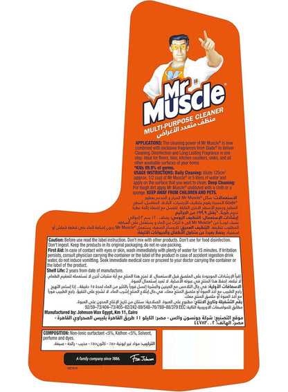 Mr Muscle Floral Perfection Floor Cleaner 1L