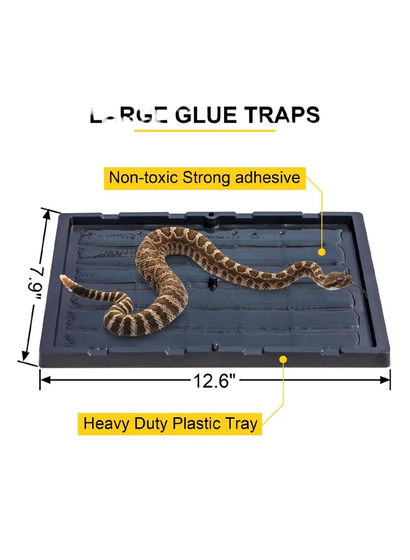 Large Glue Traps for Pests 2pcs Pack - EXPERT Catch