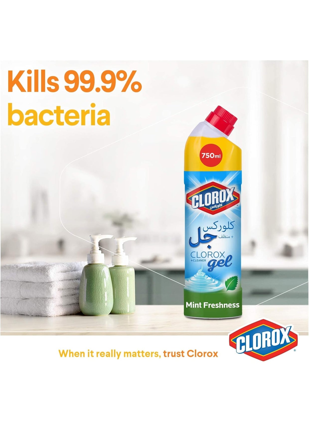 air dry, bleach gel, bleach gel cleaner, cleaner kills, clorox, deep cleaning, fresh bleach, fresh bleach gel, gel cleaner, gel cleaner kills, germs 750ml, hard non, mint fresh, mint fresh bleach, stain removal