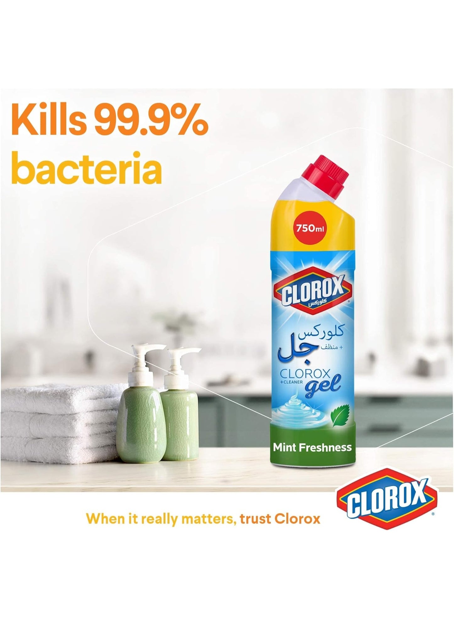 air dry, bleach gel, bleach gel cleaner, cleaner kills, clorox, deep cleaning, fresh bleach, fresh bleach gel, gel cleaner, gel cleaner kills, germs 750ml, hard non, mint fresh, mint fresh bleach, stain removal
