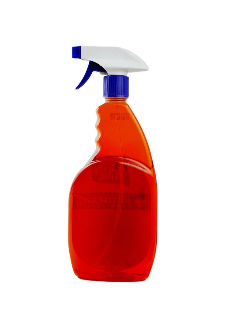 Beauty Clinic Antiseptic Disinfectant Spray 750 ML