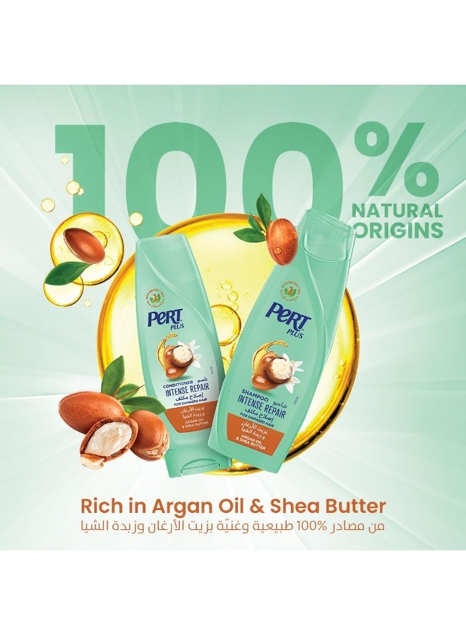 Intense Repair Shampoo 600 ML by PERT PLUS
