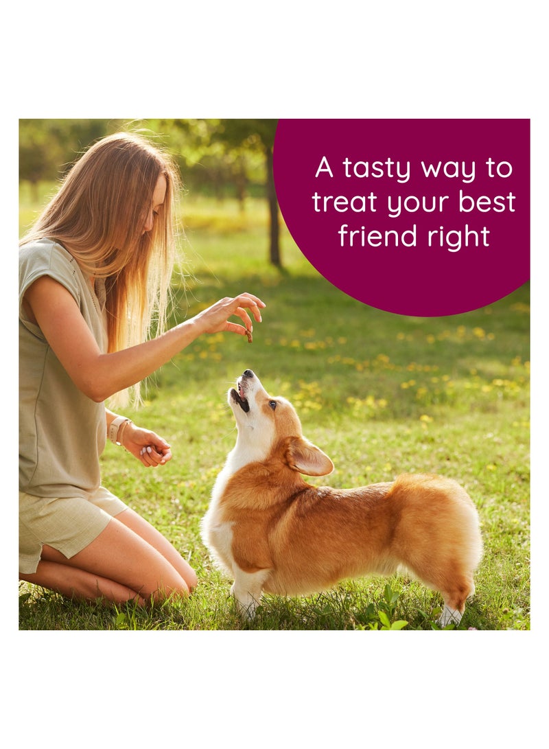 CARU Soft N’ Tasty Salmon Baked Bites for Dogs