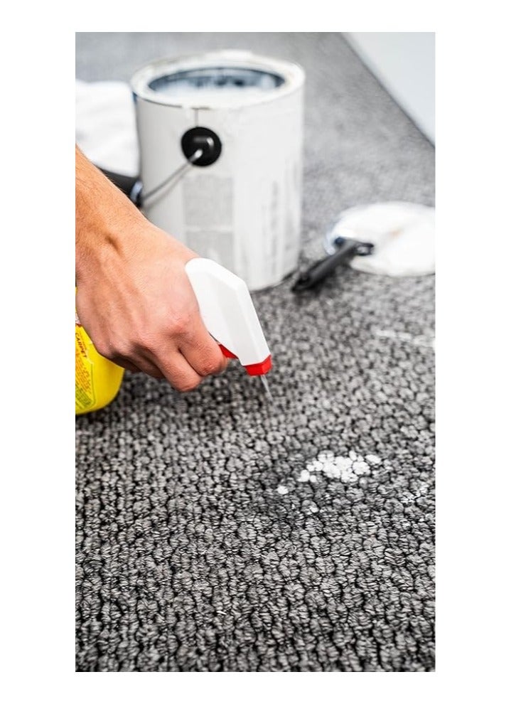 GOOF OFF Paint Remover for Carpet 355 ML