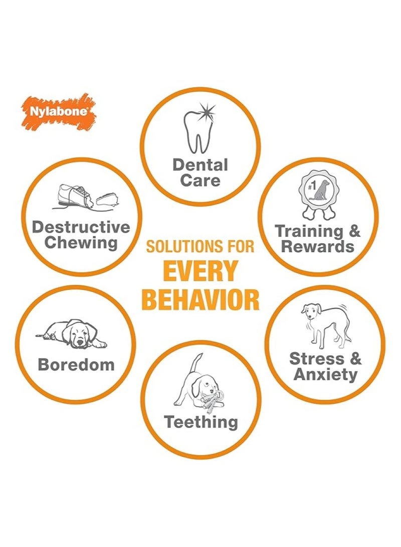 Durable Chew Toy for Dogs - Nylabone