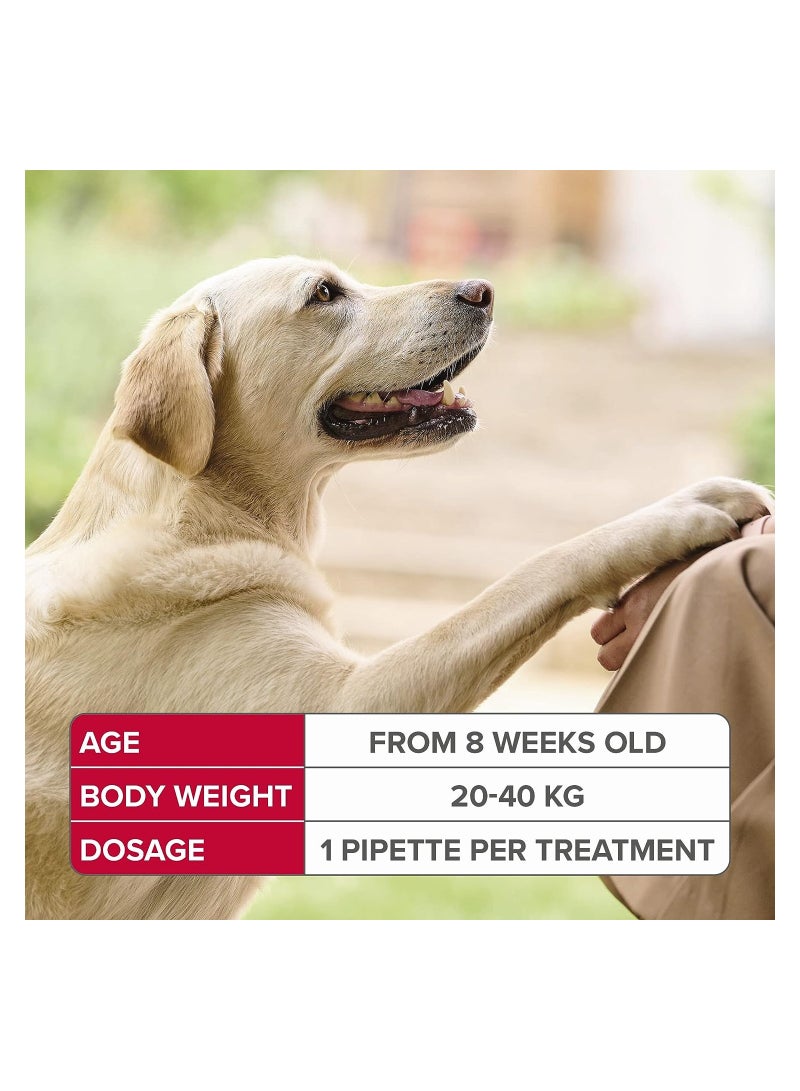 Beaphar Fiprotect for Large Dogs - 4 Pipettes