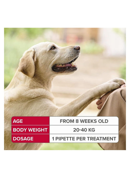 Beaphar Fiprotect for Large Dogs - 4 Pipettes