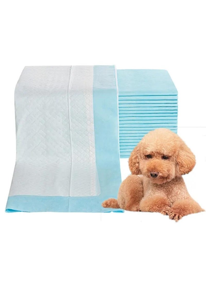 OEM Diaper Training Pads Medium - Premium Pet Supplies