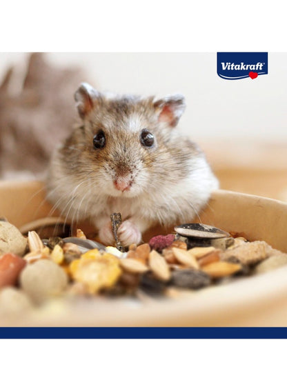 free 1kg, hamster vita, hamster vita herbs, herbs natural, menu vital, menu vital hamster, natural minerals, preservatives sugar, sugar free, sugar free 1kg, vita herbs, vita herbs natural, vitakraft, vital hamster, vital hamster vita