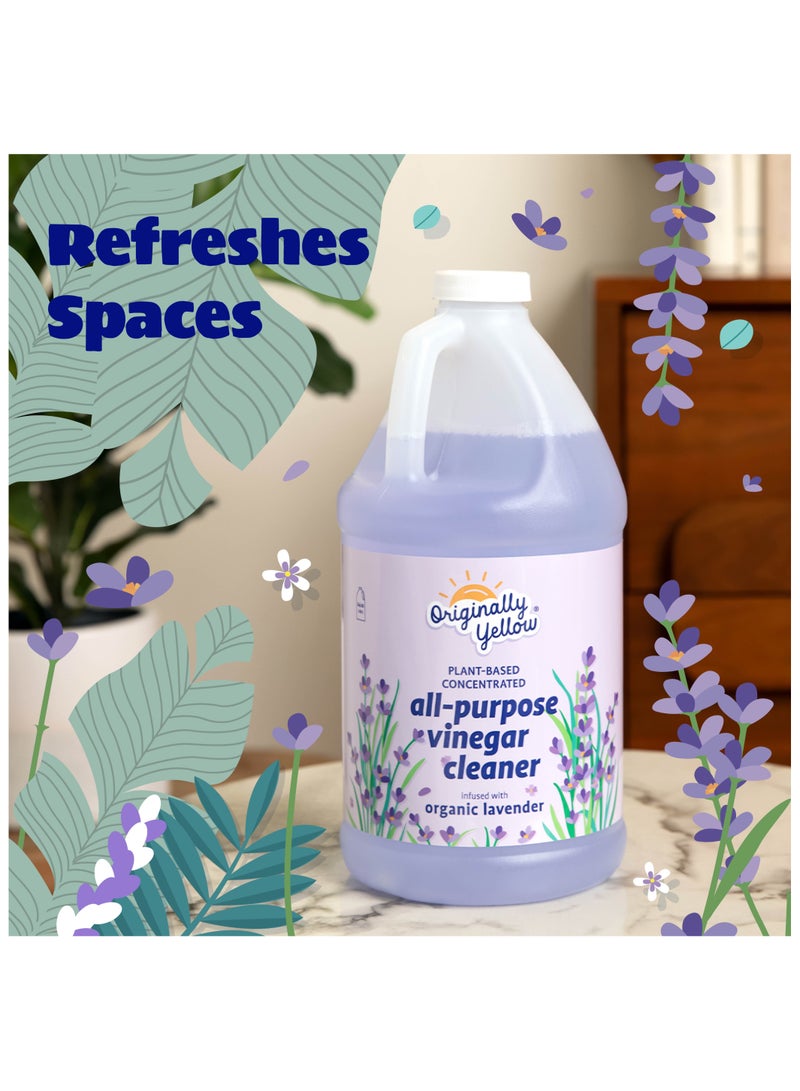 Organic Lavender Vinegar Cleaner Concentrate 1.89L