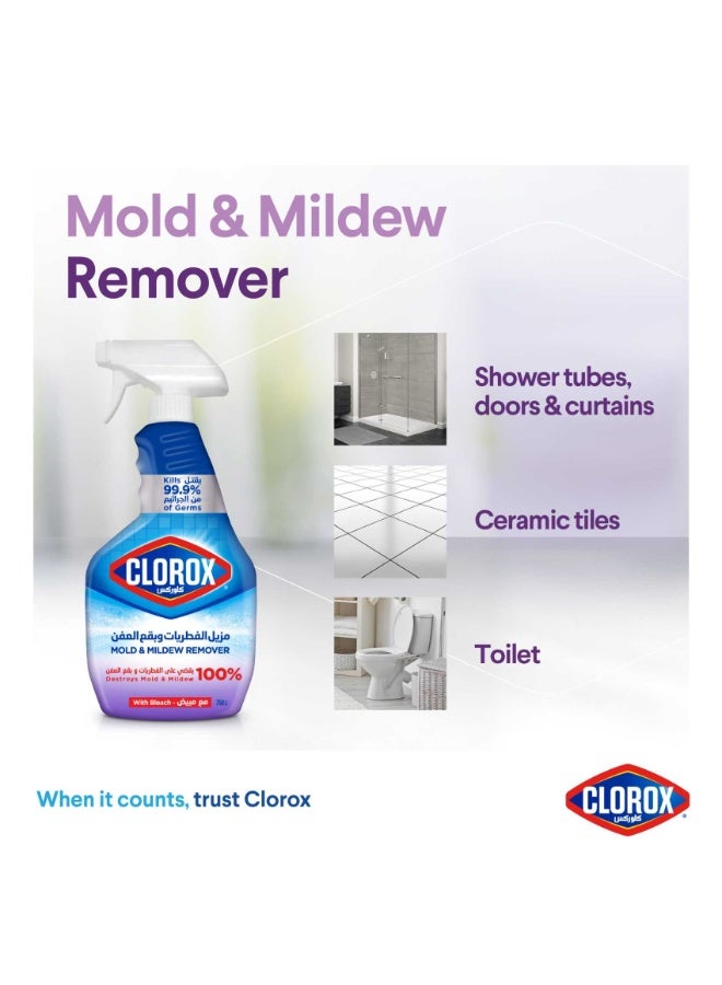 Clorox Mold & Mildew Remover 750 ML