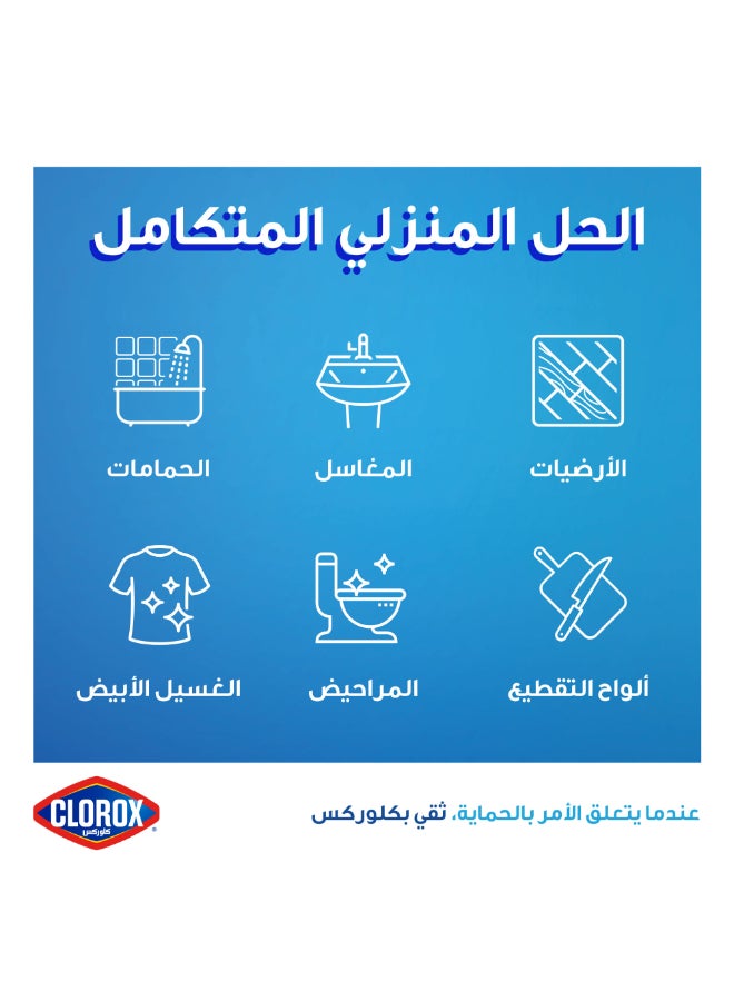 Clorox Liquid Bleach 950ml - Clorox