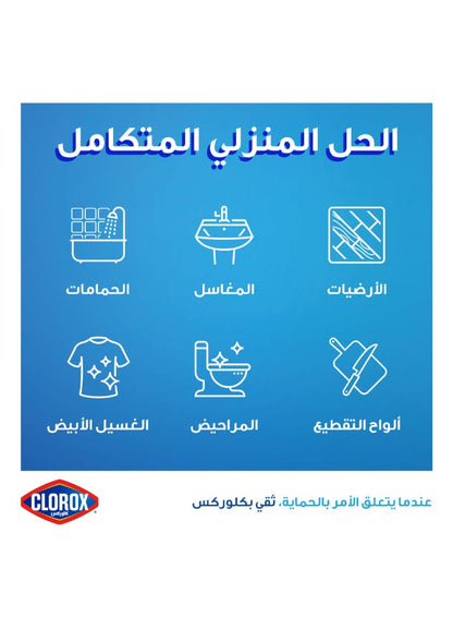 Clorox Liquid Bleach 950ml - Clorox