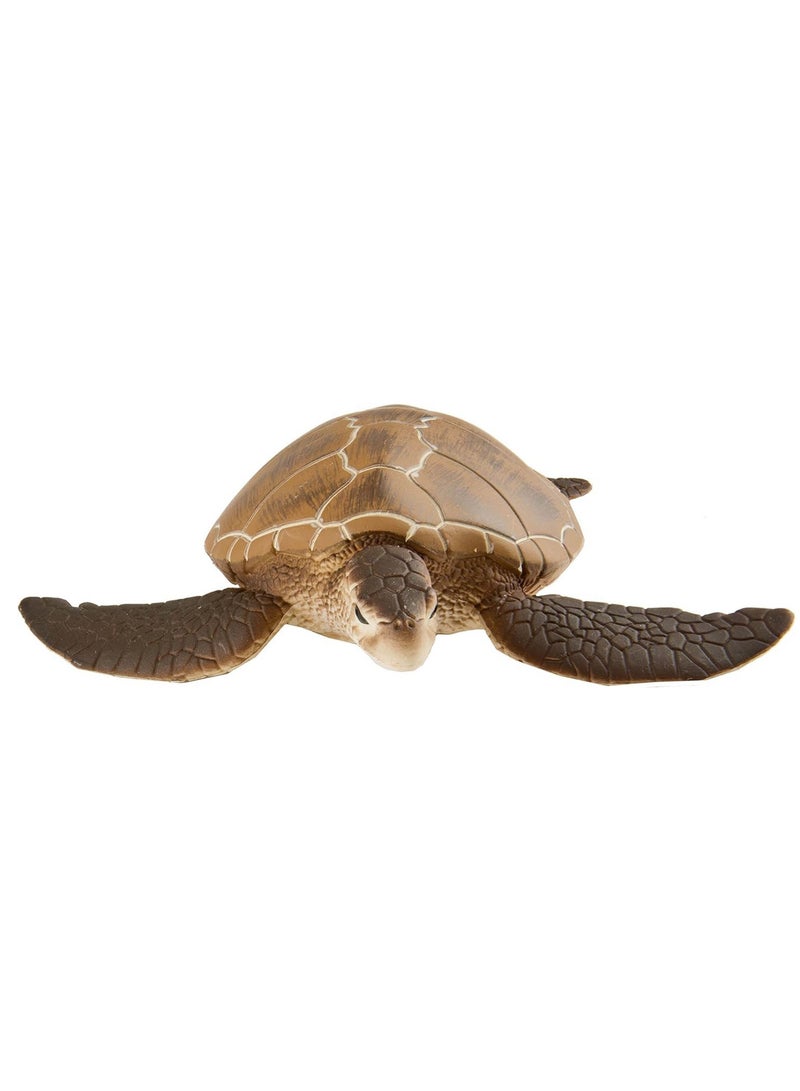 Safari Ltd Green Sea Turtle 4 Inch Figurine