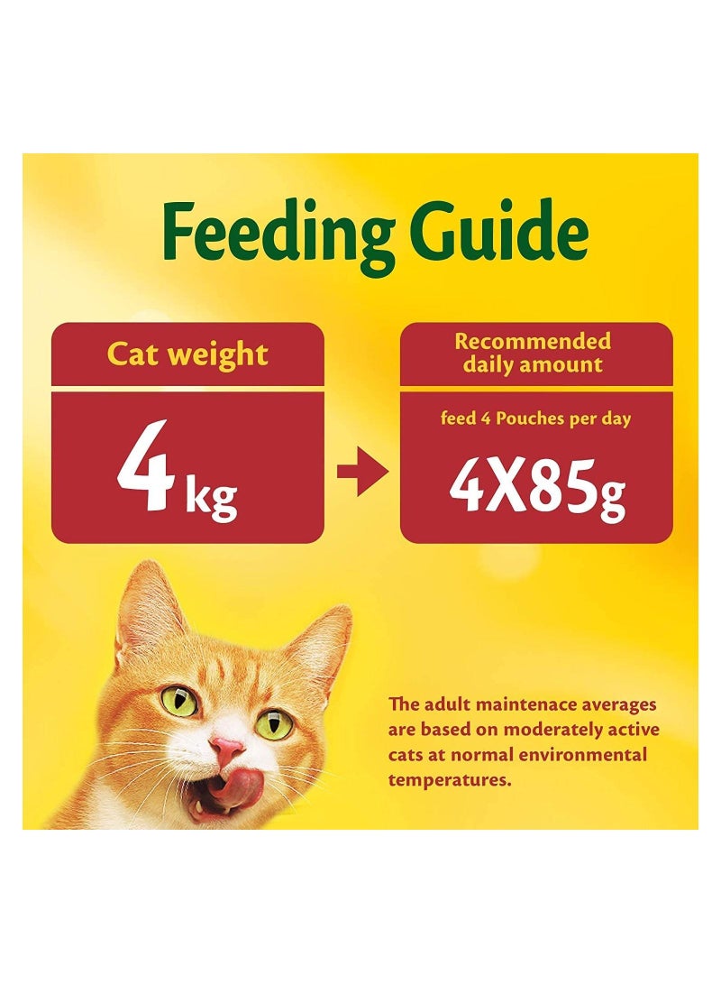 Friskies Turkey Chunks In Gravy Cat Food 85G PURINA