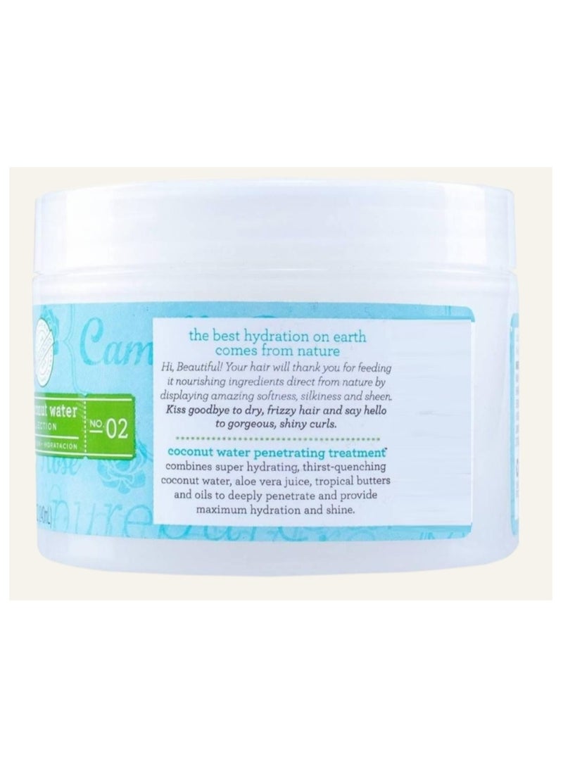 Camille Rose Coconut Water Hair Treatment 240 ML