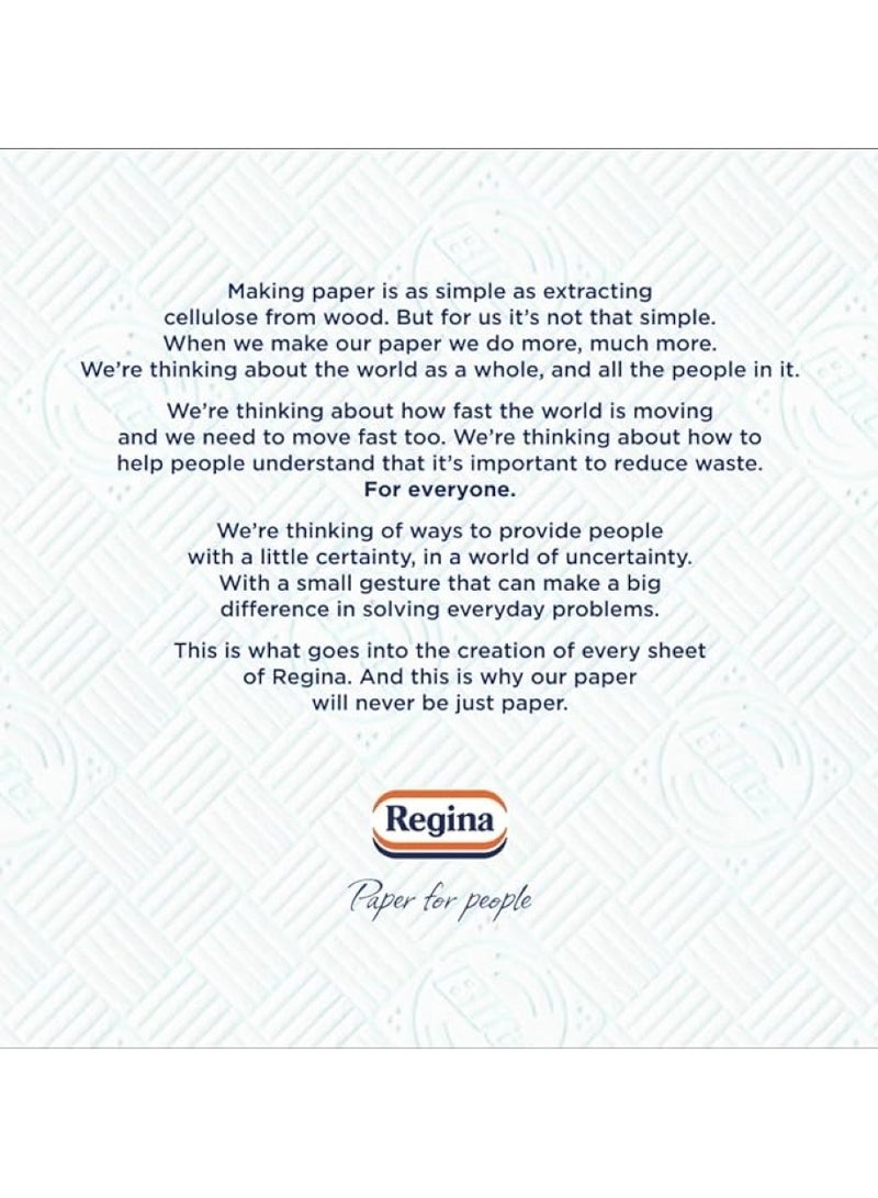 Regina Blitz Kitchen Towel 100 Sheets