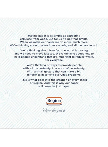 Regina Blitz Kitchen Towel 100 Sheets