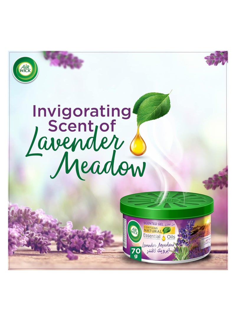 Air Wick Scented Gel Lavender Meadow 70 G