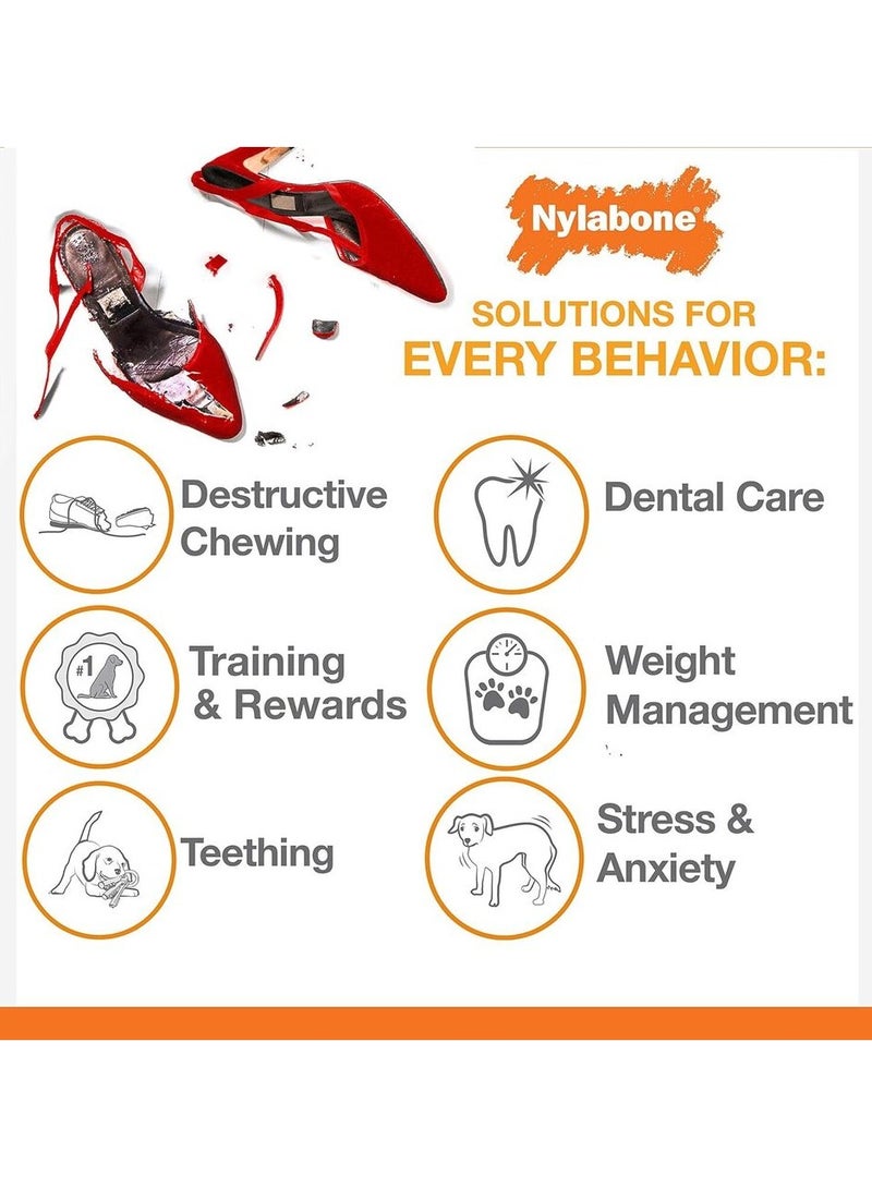 Durable Chew Toy for Dogs - Nylabone