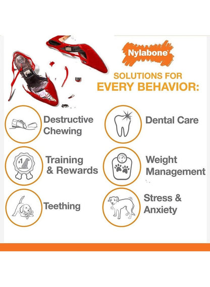 Durable Chew Toy for Dogs - Nylabone