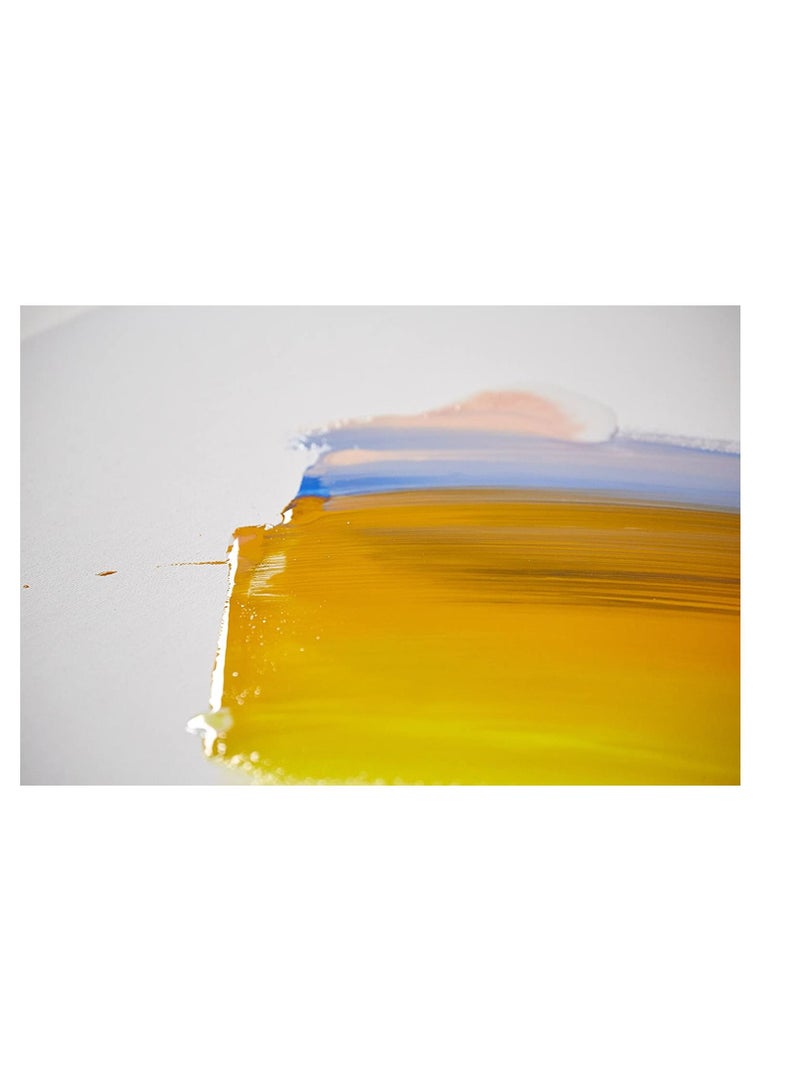 Liquitex Professional Slow Dri Medium 237 ML