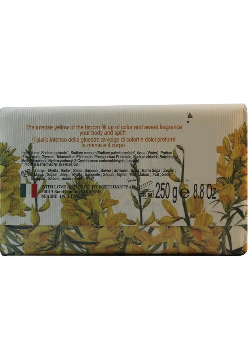 Nesti Dante Broom Triple Milled Soap 250g