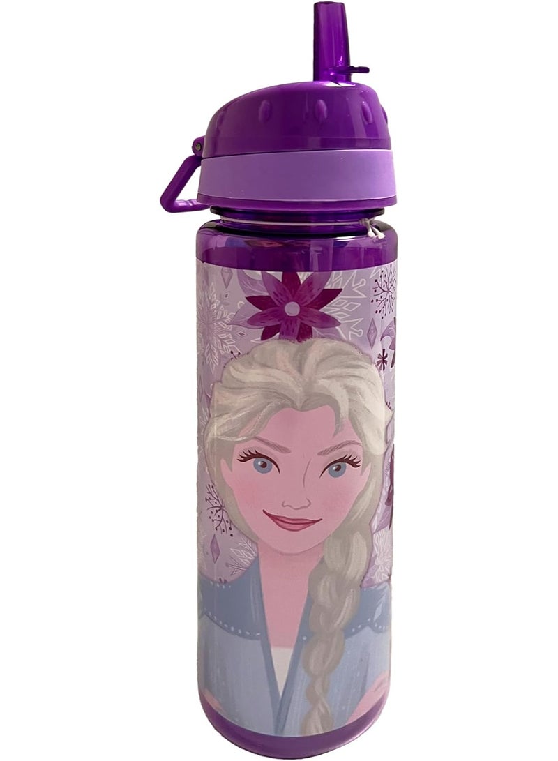 Trucare Disney Frozen Find Your Destiny Water Bottle