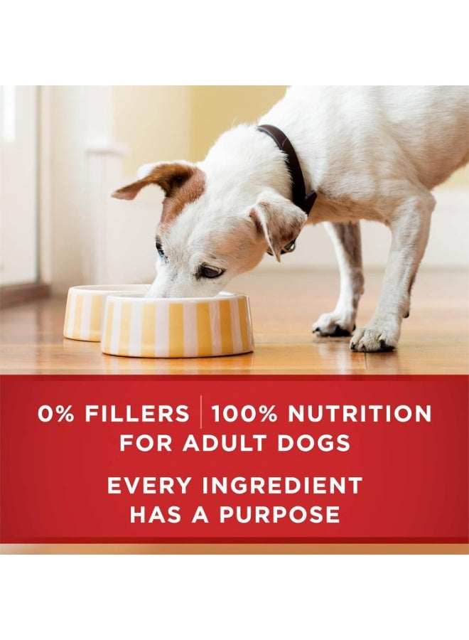 Purina ONE High Protein Beef & Brown Rice Wet Dog Food