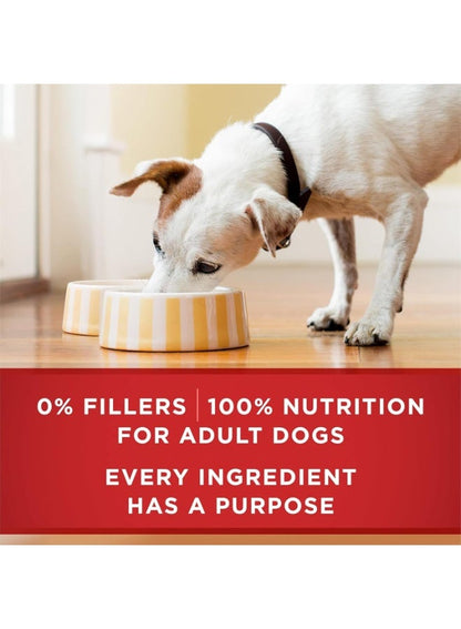 Purina ONE High Protein Beef & Brown Rice Wet Dog Food
