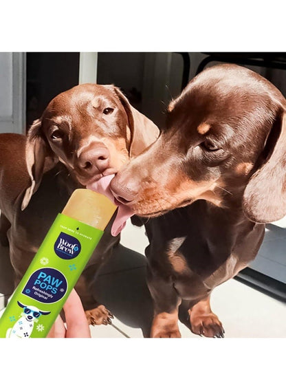 Cooling Ice Pop Treats for Dogs by Woof&Brew