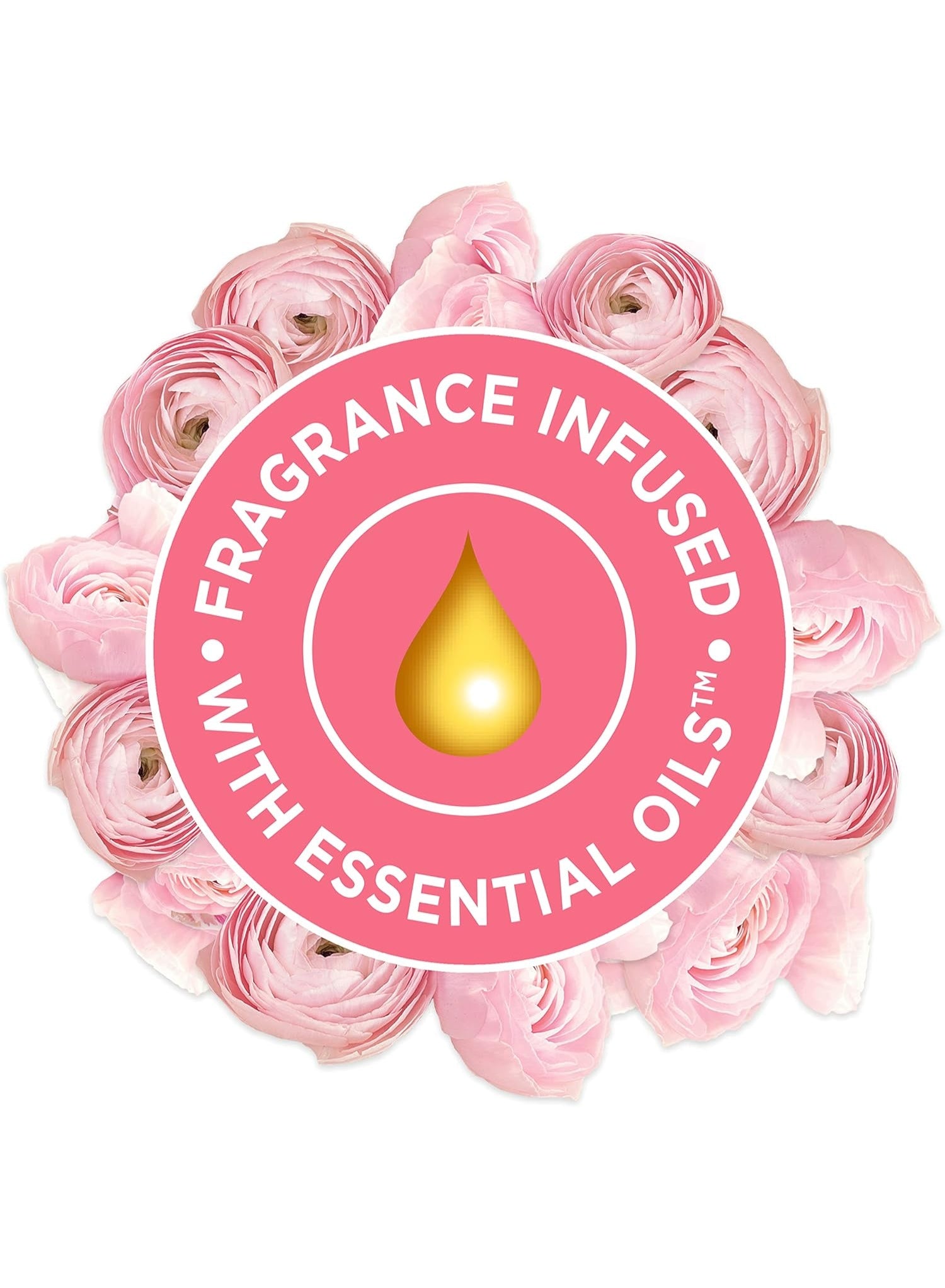 air freshener, blooming peony, blooming peony cherry, cherry air, cherry air freshener, cool dry, every day, glade, name rose, peony cherry, peony cherry air, rose blooming, rose blooming peony, soft musk, spray key