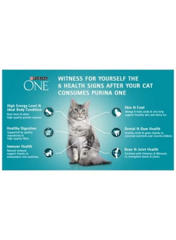 Purina ONE Healthy Adult Cat Food with Salmon & Tuna