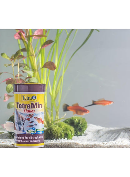 Tetra Min Fish Food Flakes 100 ML - Tetra