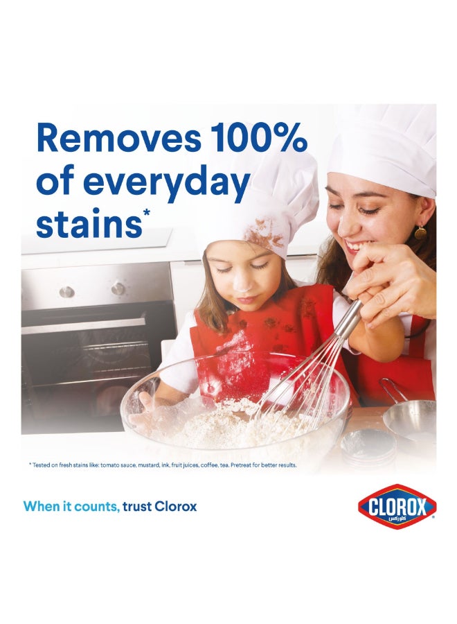 Clorox Liquid Stain Remover and Color Booster