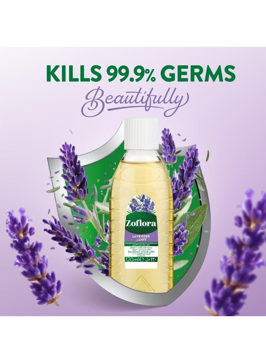 concentrated multipurpose, concentrated multipurpose disinfectant, cool dry, disinfectant lavender, dry place, every day, hard non, multipurpose disinfectant, multipurpose disinfectant lavender, never mix, non porous, note keep, pet areas, tiles taps, zof