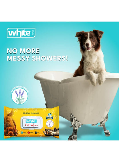 busy pet, ears eyes, every day, face ears, full bath, fur paws, hypoallergenic, one wipe, paws face, pet care, pet clean, pets wipes, sensitive skin, type pet, white