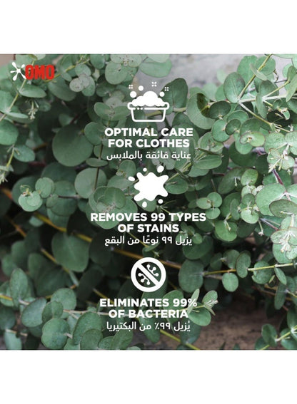 OMO Active 3In1 Laundry Capsules - Eucalyptus Freshness