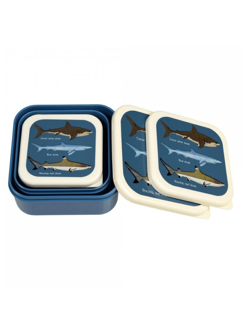 Rex London Wild Wonders Lunch Box With Tray