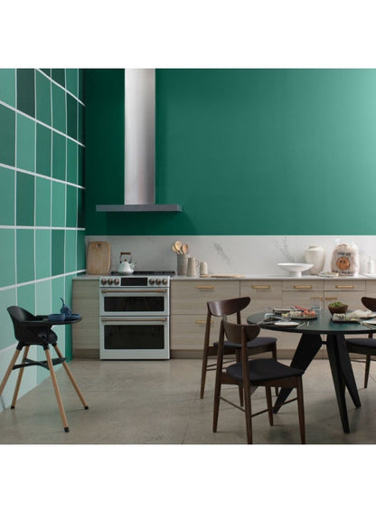 Benjamin Moore Regal Select Interior Paint