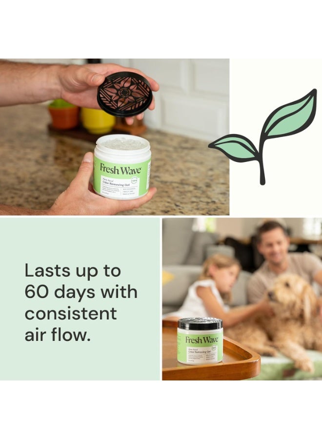 Fresh Wave Odor Eliminating Gel 425g